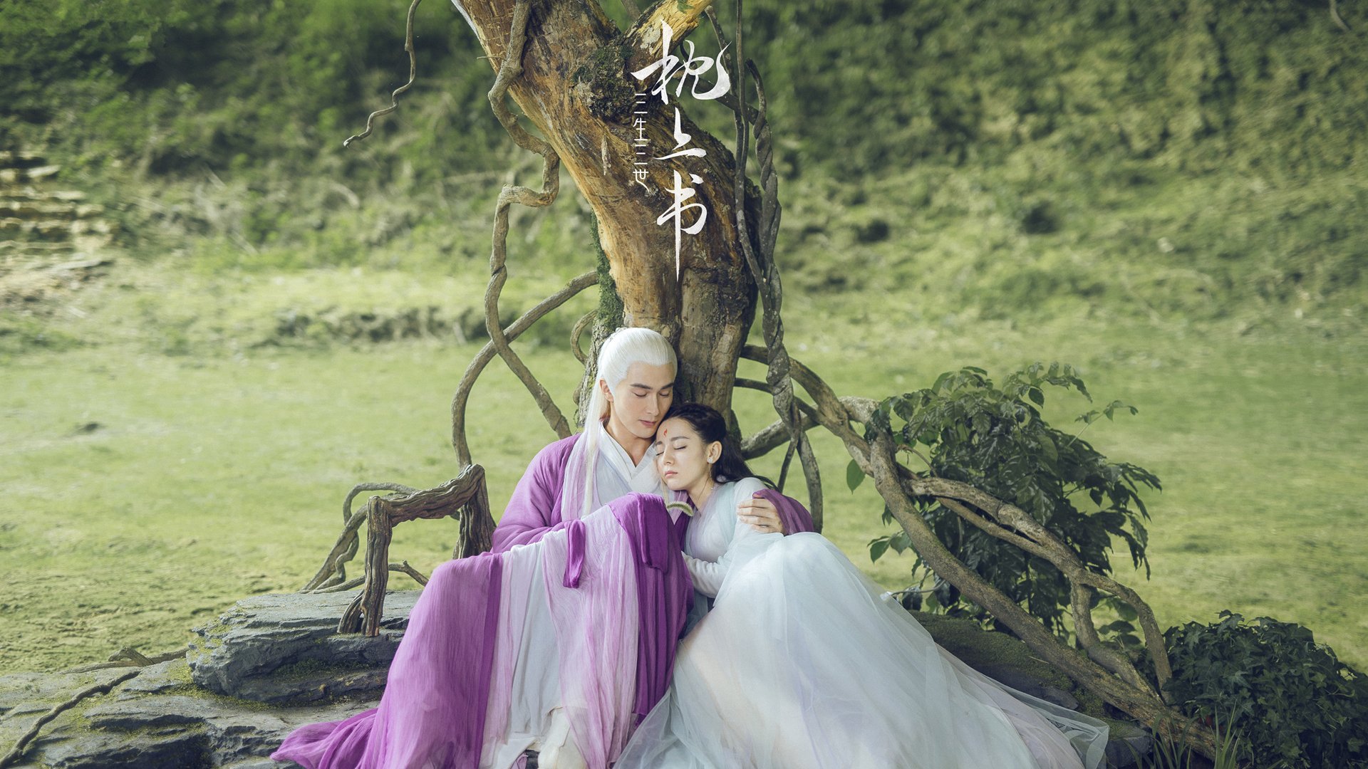 美洲杯边裁的技术培训和发展，美洲杯裁判选派