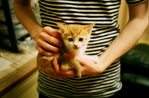 陈佳跳水节奏掌控精准,陈佳雯跳高