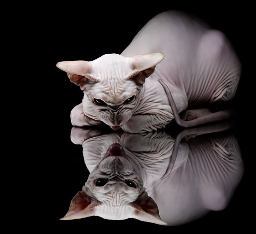 青训球员首次亮相正式比赛完成破门展现巨大潜力，青训队啥意思